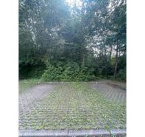 Stellplatz, in Lichtenhagen - 50,00 EUR Miete, in Rostock (PLZ: 18109) Groß-Klein