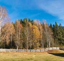 Haus in Ost Norwegen zu vermieten - Struxdorf