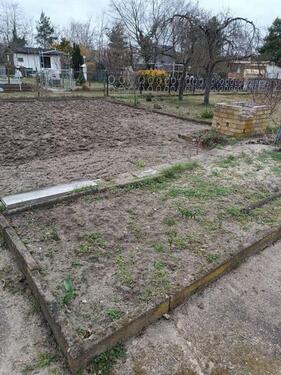 Foto - Grundst&uuml;ck zur Miete in Cottbus