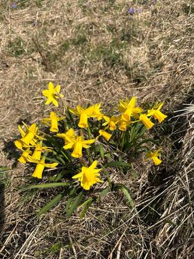 Foto - Grundst&uuml;ck in Metzingen