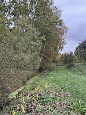 Foto - Grundstück in Mühlenbecker Land