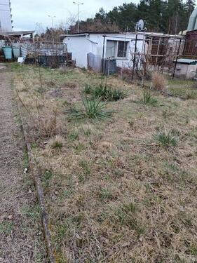 Foto - Grundst&uuml;ck in Cottbus