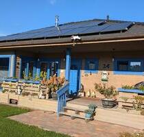 Holzhaus biologisch gesund, ca. 100 qm, Bj 2021 - Grabow