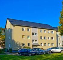 Geräumige EG Wohnung sofort möglich - Bad Driburg