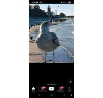 Wir bieten im Ostseebad Nienhagen eine Maisonette-Wohnung - Admannshagen-Bargeshagen