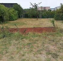 Garten Grundstück Freizeit- Erholungsgrundstück zu verpachten - Gotha
