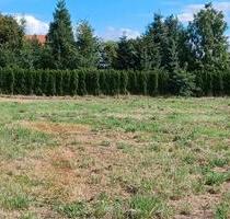 Baugrundstück für 1 oder 2EFH oder 2DHH - Elsteraue