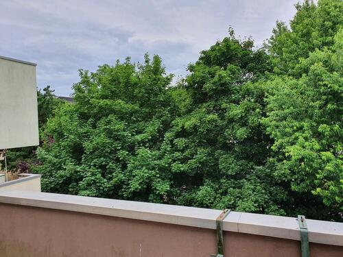 Foto - 3 Zimmer Etagenwohnung zur Miete in Celle