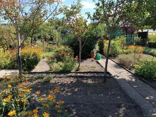 Foto - Grundst&uuml;ck zur Miete in Cottbus