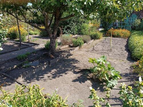 Foto - Grundst&uuml;ck in Cottbus