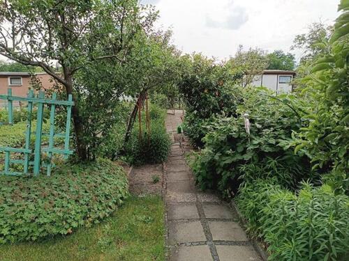 Foto - Grundst&uuml;ck in Cottbus zur Miete