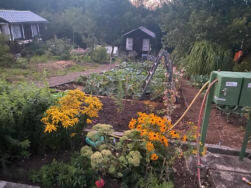 Foto - Schrebergarten Kleingarten Selbstversorgergarten Tailfingen