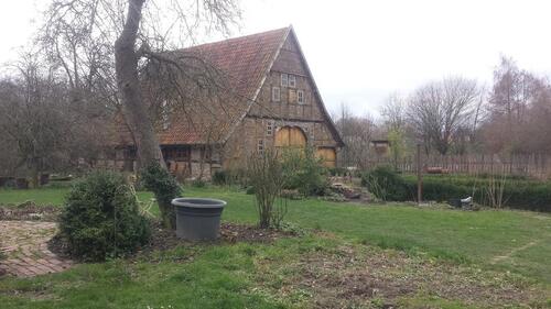 Foto - Einfamilienhaus in Bad Essen zum Kaufen