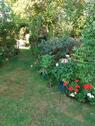 Foto - Einfamilienhaus in Schiffweiler