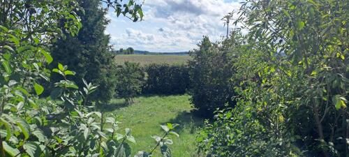 Foto - Einfamilienhaus zu verkaufen - 417.000,00 EUR Kaufpreis,