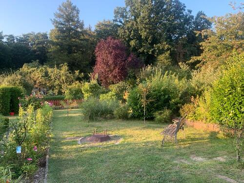 Foto - Grundst&uuml;ck in Rostock zur Miete
