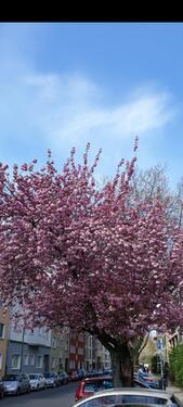 Foto - 2 Zimmer Etagenwohnung in Essen