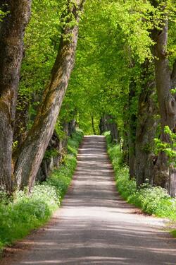 Foto - Schöne Dachgeschosswohnung - 900,00&nbsp;EUR Kaltmiete, ca.&nbsp; 60,00&nbsp;m&sup2;