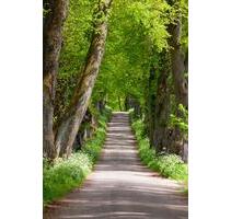 Schöne Dachgeschosswohnung - 900,00 EUR Kaltmiete, ca. 60,00 m² in Marktoberdorf (PLZ: 87616) Schöne Dachgeschosswohnung - 900,00 EUR Kaltmiete, ca. 60,00 m² in Marktoberdorf (PLZ: 87616)