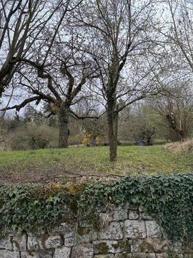 Foto - Grundst&uuml;ck in Kirchheim am Neckar zur Miete