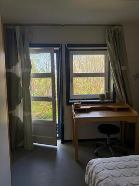 Foto - Gemütliches WG- Zimmer direkt an der Uni