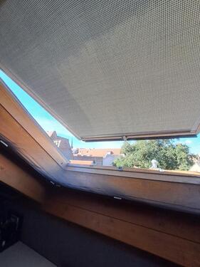 Foto - Etagenwohnung zur Miete in Halle (Saale)