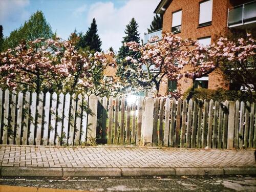 Foto - Einfamilienhaus zum Kaufen in Bockenem