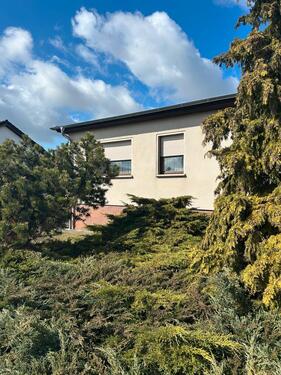 Foto - 4 Zimmer Einfamilienhaus zum Kaufen in Jessen (Elster)