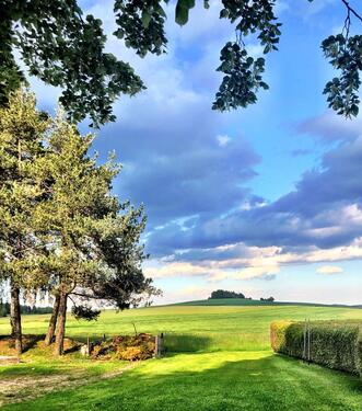 Foto - Grundst&uuml;ck in Ühlingen-Birkendorf zur Miete