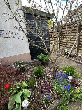 Foto - 4 Zimmer Doppelhaushälfte in Datteln