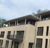 Moderne 54qm Wohnung mit Süd-Balkon & TG-Stellplatz - Dresden Pieschen
