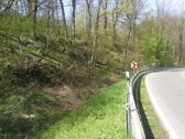 Foto - Mohorn an der B173 , Wald 360 qm