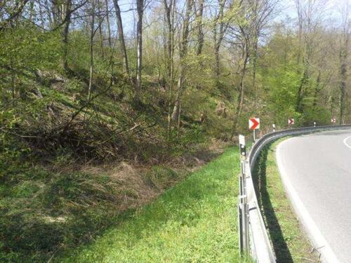 Foto - Mohorn an der B173 , Wald 360 qm