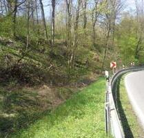 Mohorn an der B173 , Wald 360 qm - Wilsdruff