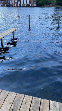 Foto - andere in Neuenhagen bei Berlin