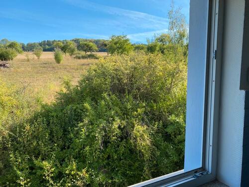 Foto - 6 Zimmer Etagenwohnung zum Kaufen in Welschbillig