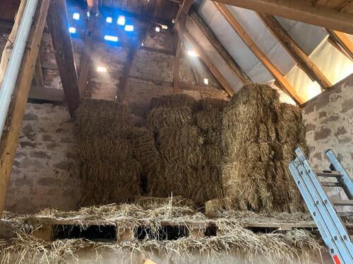 Foto - 