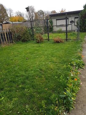 Foto - Grundst&uuml;ck zur Miete in Forst (Lausitz)