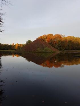 Foto - Grundst&uuml;ck in Forst (Lausitz) zur Miete