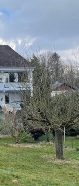 Foto - Etagenwohnung zum Kaufen in Alfter