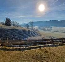 Wohnung 3 Zimmer EG Hochparterre Allgäu - Dietmannsried