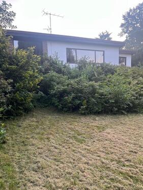 Foto - Einfamilienhaus in Bienenbüttel