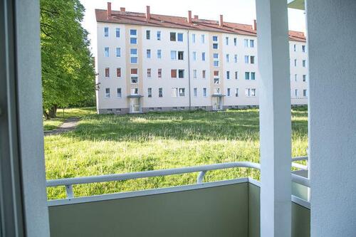 Foto - 3 Zimmer Erdgeschoßwohnung zur Miete in Chemnitz