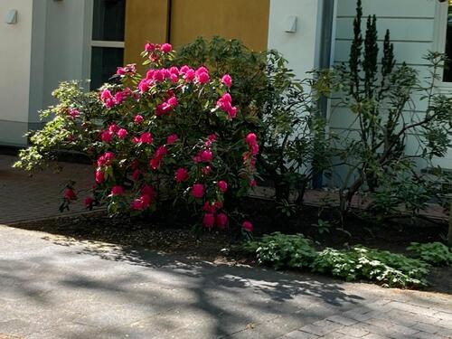 Foto - 8 Zimmer Villa in Gütersloh