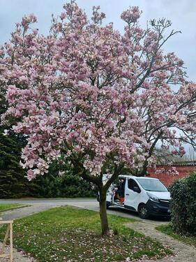 Foto - Ferienhaus, Ferienwohnung 26670 Uplengen - Ostfriesland ebenerdig
