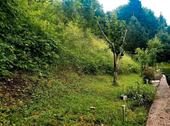 Foto - Terrassenwohnung in Kempten (Allgäu) zum Kaufen
