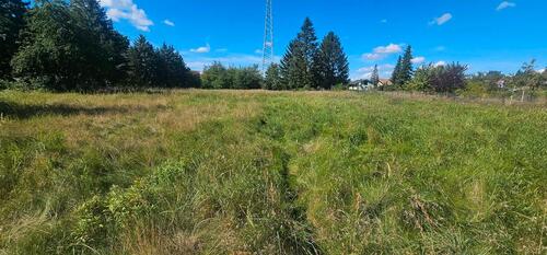 Foto - Grundstück 6500m² zur Pacht in Lauchhammer Wiese, Weide Koppel