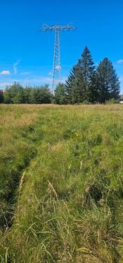 Foto - Grundst&uuml;ck zur Miete in Lauchhammer