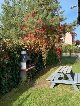 Foto - andere in Dresden