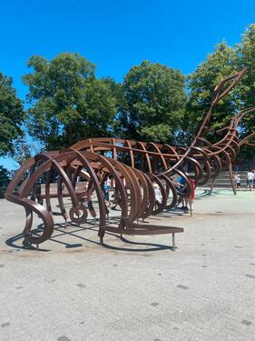 Foto - andere in Dresden zur Miete